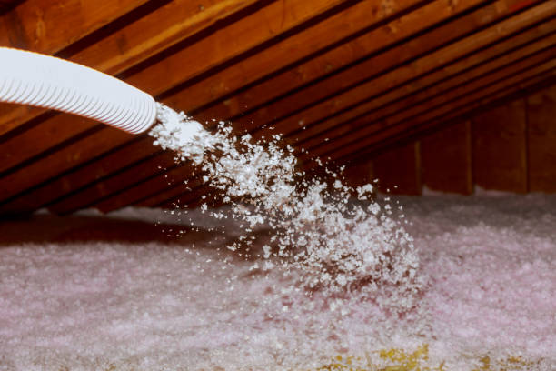 Best Insulation Inspection Services  in Cherry Valley, IL