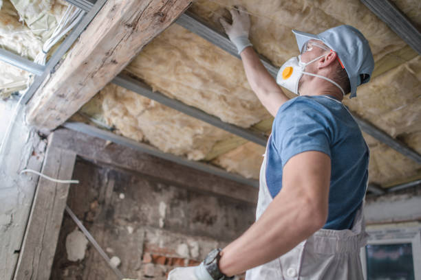 Best Professional Insulation Contractor  in Cherry Valley, IL